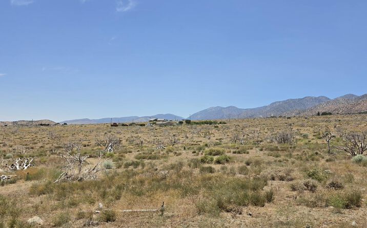 Pictures of Land property located at APN 3059-018-096, JUNIPER HILLS, CA 93534 for sales - image #1