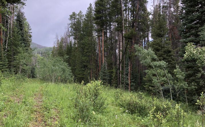 Pictures of Land property located at TBD Springboard Trail, Oak Creek, CO 80467 for sales - image #1