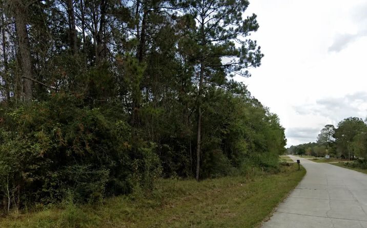Pictures of Land property located at Marion Lane, Mandeville, LA 70471 for sales - image #1