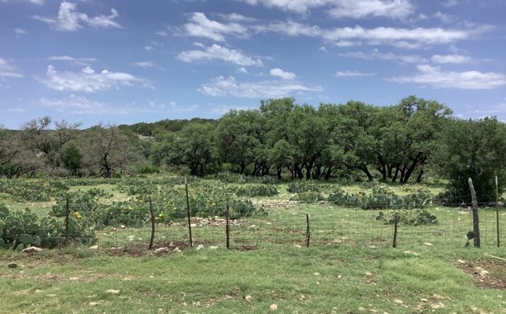 Highway 55 and County Road 31, Alamo