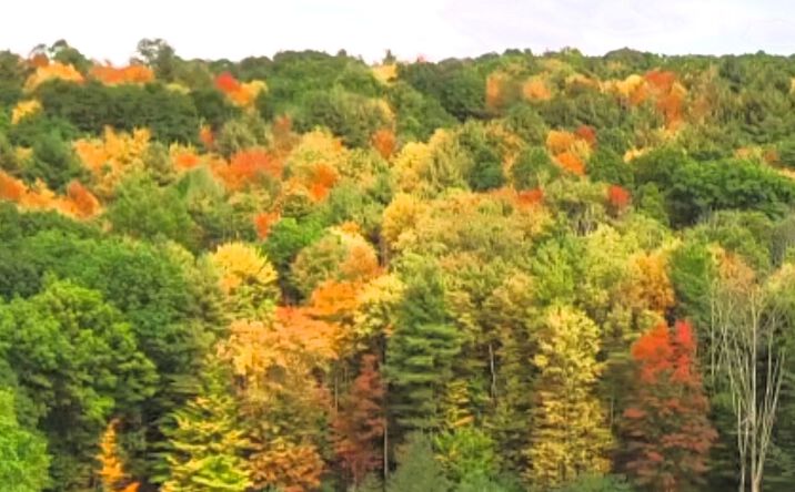 Pictures of Land property located at 225 Southwood Drive, Vestal, NY 13850 for sales - image #1