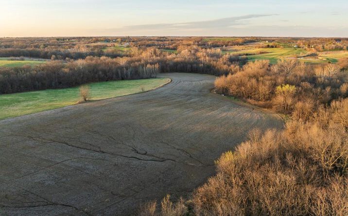 Pictures of Land property located at 0000 State M Highway, Centerview, MO 64019 for sales - image #1