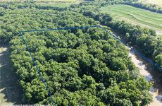 33441075