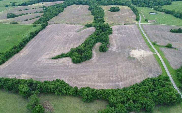 Pictures of Land property located at Cotton Road, Purdin, MO 64674 for sales - image #1
