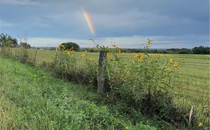 Wild Horse Road, McLouth