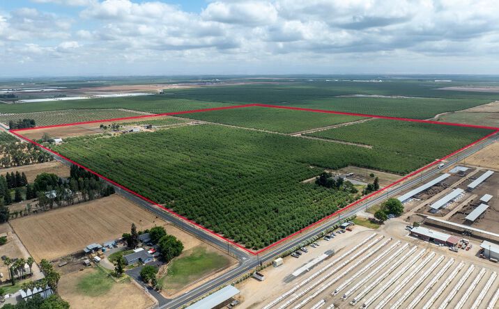 Pictures of Land property located at 8925 E Monte Vista, Denair, CA 95316 for sales - image #1