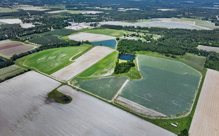 Pictures of Land property located at 153 Booth Road, Ellenton, GA 31747 for sales - image #1