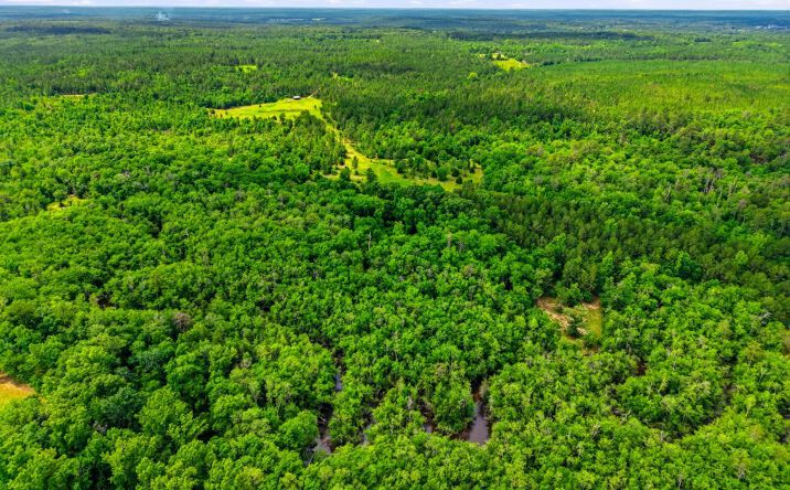 Pictures of Mixed Use, Land property located at 257 Carpenter Road, Rupert, GA 31081 for sales - image #1