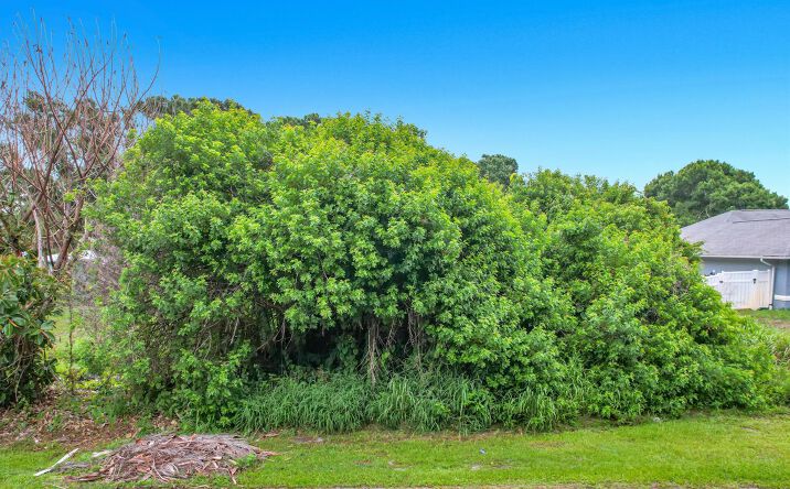 Pictures of Land property located at 1510 Emerson Lane, Sebastian, FL 32958 for sales - image #1