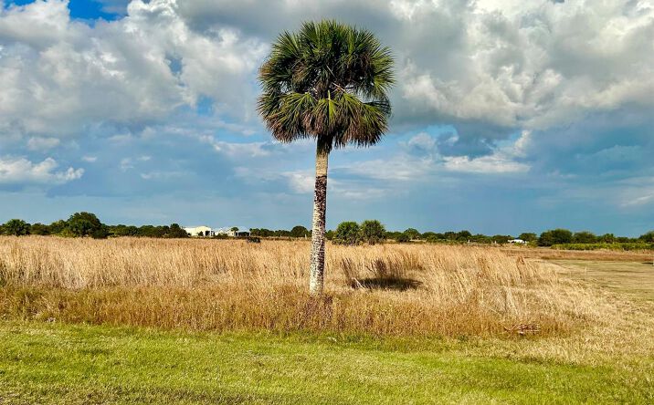 Pictures of Land property located at 6635 SE 26th Trail, Okeechobee, FL 34974 for sales - image #1