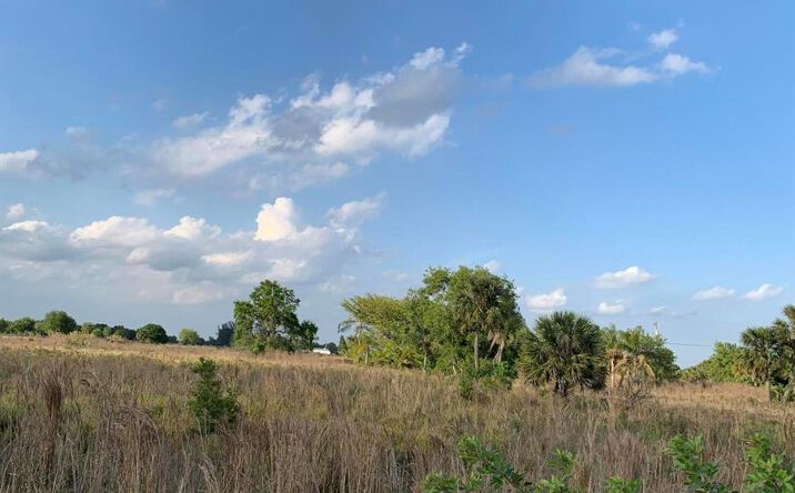 Pictures of Land property located at 20637 Simone Drive, Loxahatchee, FL 33470 for sales - image #1