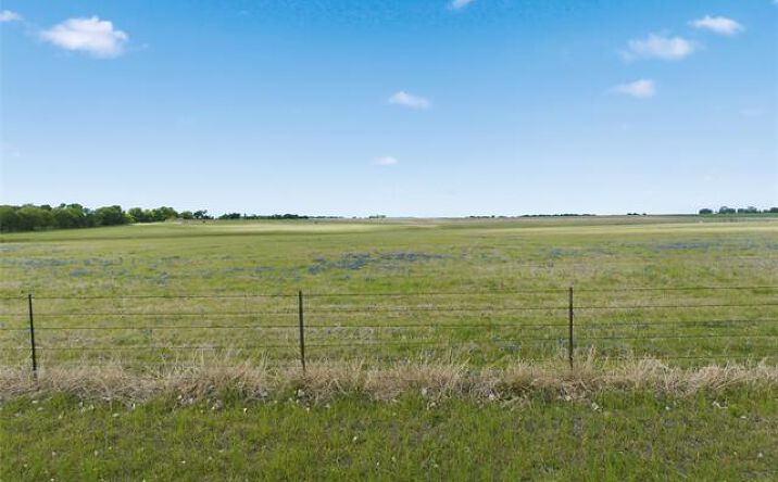 Pictures of Land property located at TBD WA Neel Road, West, TX 76691 for sales - image #1