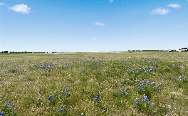 Pictures of Land property located at TBD W WA Neel Road, West, TX 76691 for sales - image #1