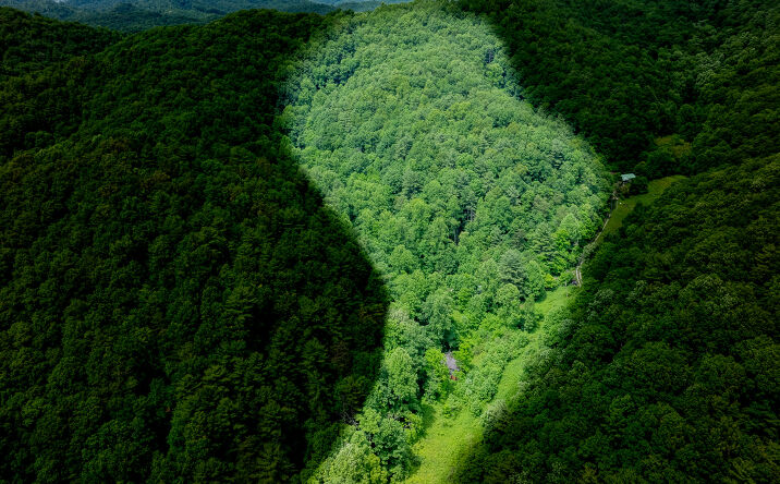 Pictures of Land property located at 807 Wyatt Hollow Road, Bristol, TN 37620 for sales - image #1