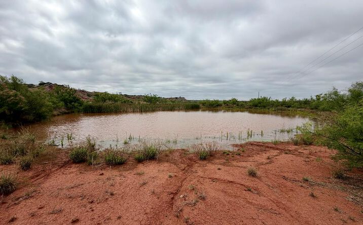Pictures of Land property located at 17074 E County Rd 16, Coahoma, TX 79511 for sales - image #1