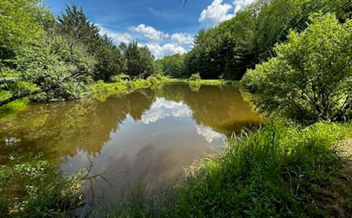 Pictures of Land, Multifamily property located at 670 Churchview Ln, Fries, VA 24330 for sales - image #1
