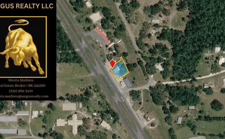 Pictures of Retail, Office, Mixed Use property located at 16500 U.S. 19, Salem, FL 32356 for sales - image #1