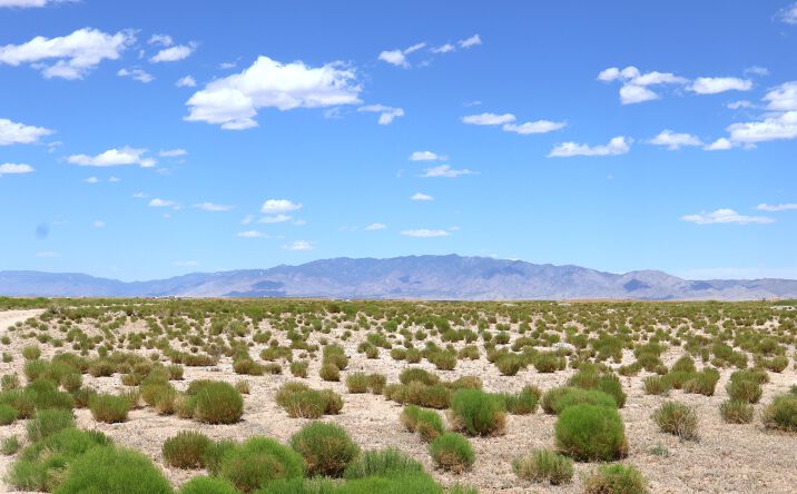 Pictures of Mixed Use, Land, Special Purpose property located at 14 YBARRA AVE, VEGUITA, NM 87062 for sales - image #1
