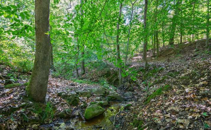Pictures of Land property located at 4918 Lower Mill Road, Crawfordville, GA 30631 for sales - image #1