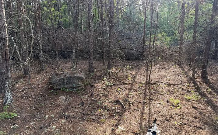Pictures of Land property located at 0 Mill Stream Drive, Gretna, VA 24557 for sales - image #1