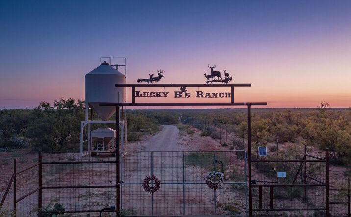 Pictures of Land property located at 5710 County Road 361, Colorado City, TX 79512 for sales - image #1