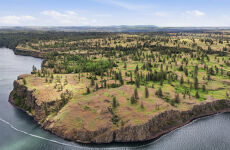 33528133