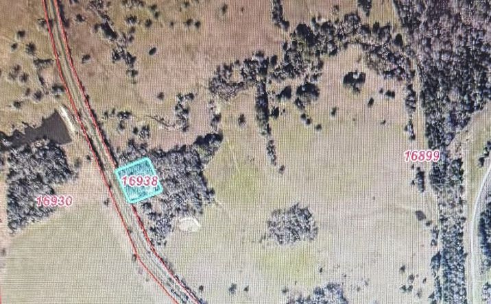 Pictures of Mixed Use, Land property located at 11416 Farm to Market 244, Anderson, TX 77830 for sales - image #1