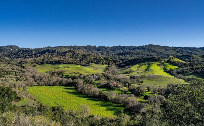 Pictures of Land property located at 750 Conn Valley Road, St. Helena, CA 94574-9627 for sales - image #1