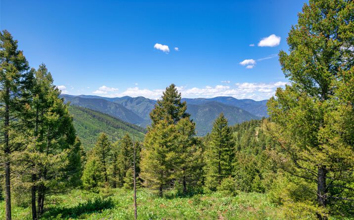 Pictures of Land property located at 25575 Patter Spur Road, CLINTON, MT 59825 for sales - image #1