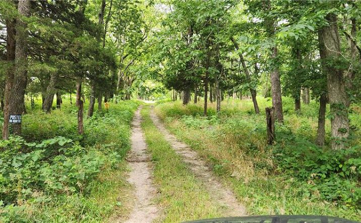 Metcalf Rd Road, Louisburg