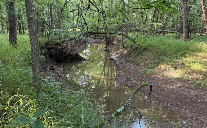 Pictures of Land, Special Purpose property located at 1601 Road, Montrose, MO 64770 for sales - image #1
