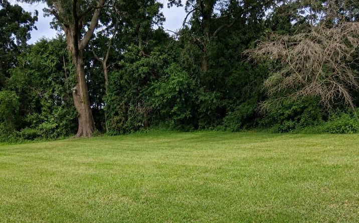 Pictures of Land property located at Lot 087 S Deer Path Drive, Bass Lake, IN 46534 for sales - image #1