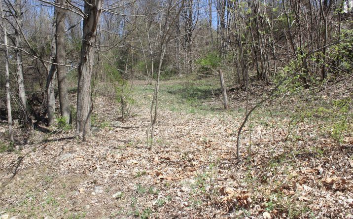 Pictures of Land, Multifamily property located at Old State Route 22, Amenia, NY 12501 for sales - image #1