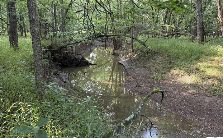 Pictures of Land, Special Purpose property located at SW 1601, Montrose, MO 64770 for sales - image #1