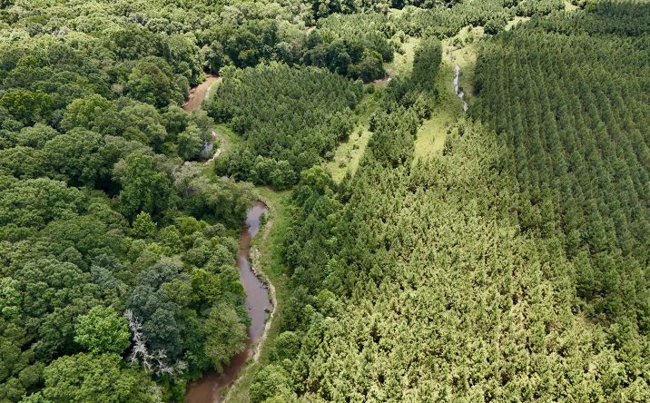 Pictures of Land property located at 7340 County Road 75 North, Clopton, AL 36317 for sales - image #1