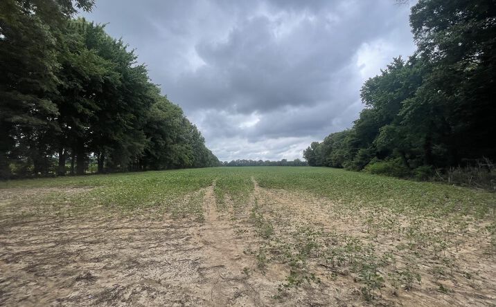 Pictures of Land property located at Old Jackson Road, Bells, TN 38006 for sales - image #1