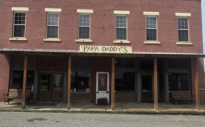 Pictures of Retail property located at 1704 Tennessee 138, Mercer, TN 38392 for sales - image #1