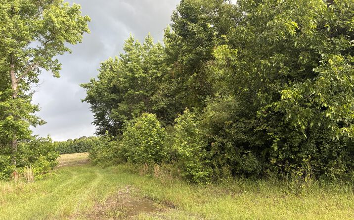Pictures of Land, Special Purpose property located at 2227 Goward Road, Alcolu, SC 29001 for sales - image #1