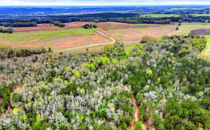 9.72 Ac Mile Bridge Way #9.72ac Parcel, Johnston