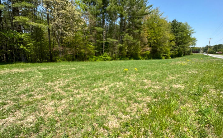 Pictures of Land property located at L34.111 County Rte 9, New Lebanon, NY 12125 for sales - image #1