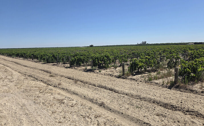 Pictures of Land property located at East Clarkson Avenue, Caruthers, CA 93609 for sales - image #1