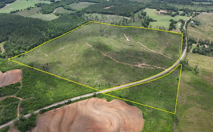 Pictures of Land property located at 0 County Road 75, Clopton, AL 36317 for sales - image #1