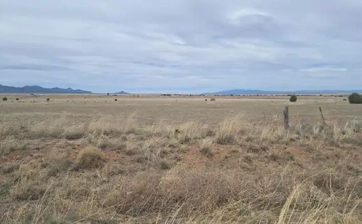 Pictures of Land property located at 63 Co Rd 14A, Stanley, NM 87056 for sales - image #1