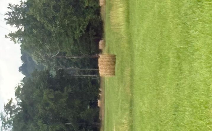 Pictures of Land, Special Purpose property located at 107 Hall Cemetary Rd, Cadiz, KY 42211 for sales - image #1