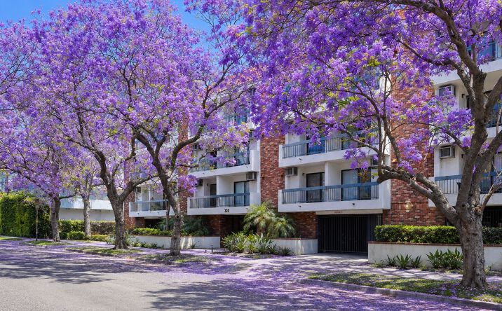 Pictures of Multifamily property located at 320 S Arnaz Drive, Los Angeles, CA 90048 for sales - image #1