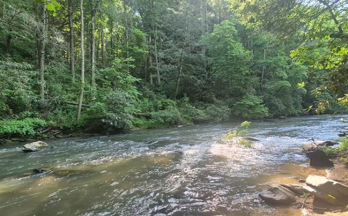 Pictures of Land property located at Lot 4 Roaring Forks Lane, Ellijay, GA 30540 for sales - image #1