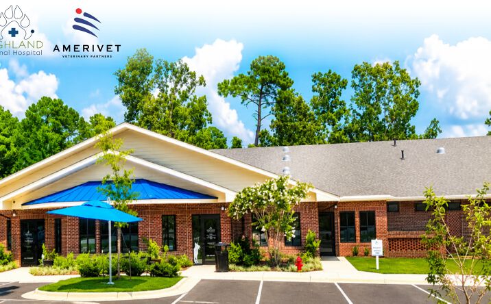 Pictures of Office property located at 981 S. McPherson Church Rd, Fayetteville, NC 28303 for sales - image #1