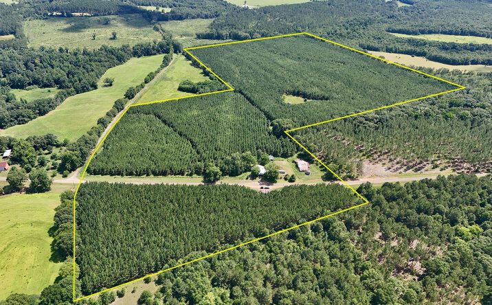 Pictures of Land property located at 1063 County Road 67, Clopton, AL 36317 for sales - image #1