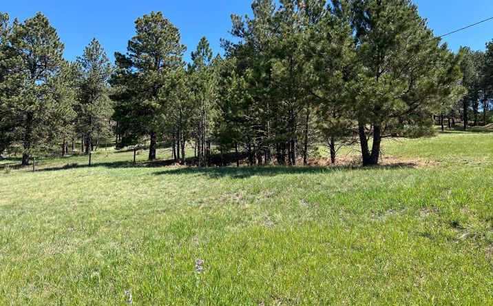 Pictures of Land property located at 40 Whispering Pines, Chadron, NE 69337 for sales - image #1