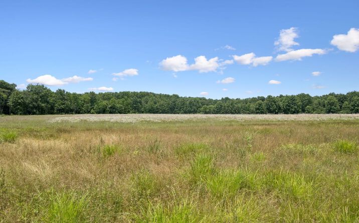 Pictures of Land property located at 2432 Bauer Rd, Batavia, OH 45103 for sales - image #1